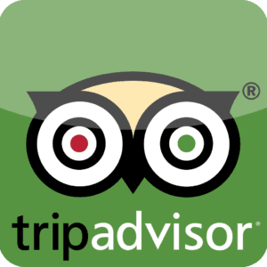trip advisor reviews tours williamsburg 